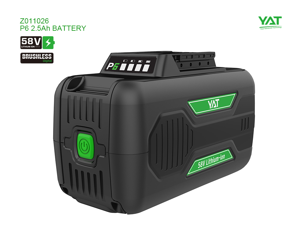 Z011026 P6-2.5Ah-Battery